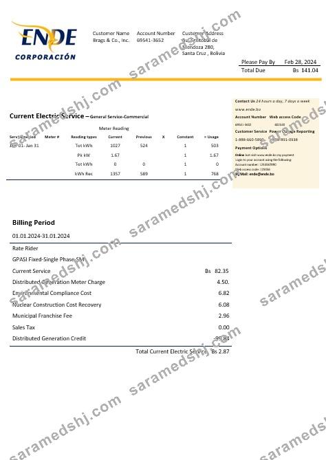 Bolivia ENDE Corporacion electricity business utility bill template in Word and PDF format